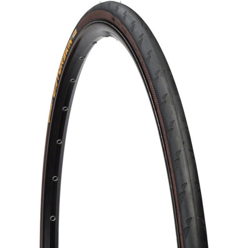Continental Gatorskin Tire - 700 x 25, Clincher, Folding, Black, 180tpi